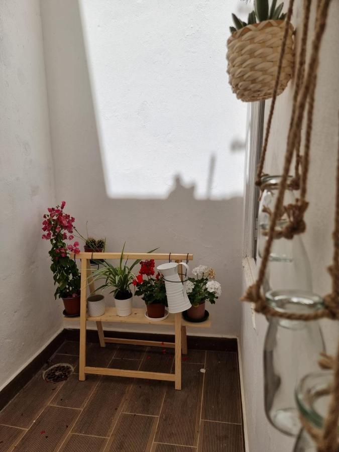 Dream Days Guesthouse ファロ エクステリア 写真